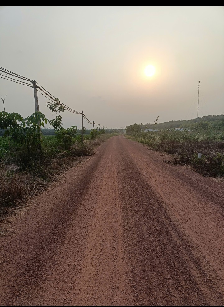 CHỦ KẸT TIỀN CẦN RA GẤP ĐẤT RỘNG CÂY TRƯỜNG 46 KẾ ĐƯỜNG HỒ CHÍ MINH